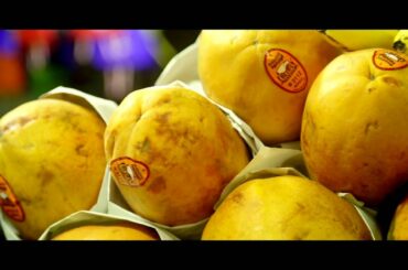 Dining In La Paz  - From local fresh seafood and tropical fruits to international cuisine.