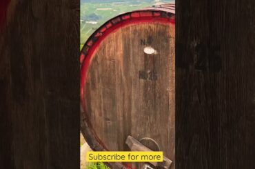 Wine storage italy tour