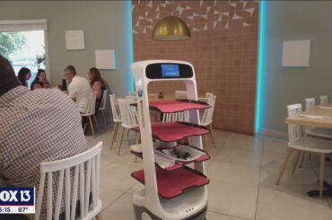 South Tampa restaurant has robotic waiter on staff