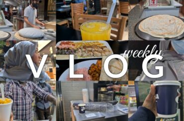 VLOG| BEST RESTAURANT IN TOWN? ||Syrian Rose|| najhassan