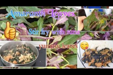 HOW TO COOK AMARANTH LEAVES WITH ITALIAN TUNA/ EASY STEP COOKING / DIWAN ENIH
