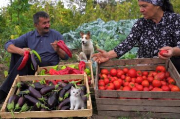 Preparation for Winter - Full Vitamin Salad, Vegetarian Salad