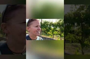 Marano di Valpolicella near Le Bignele Vineyards Italy