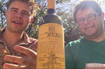 2011 Paolo Bea Arboreus Bianco Umbria IGT White Wine