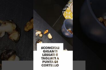 #pasta #sconcigli #Italia #Italianfood