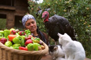 Cooking Turkey with Vegetables, Village Cooking, Turkey Kabobs