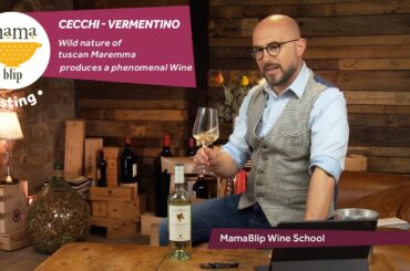 #Vermentino | La Mora -  Checchi | Wine tasting with Filippo Bartolotta