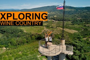 Wine Region You Should Visit / Iconic Places