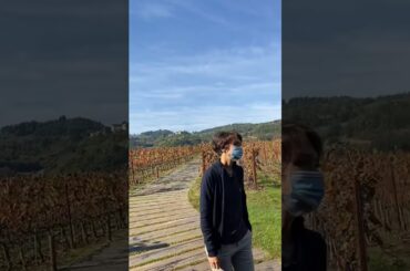 Makeup Wine Tasting #italy #marchesiantinori #wine #tasti#Shorts