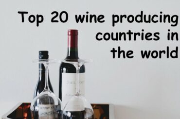 TOP 20 WINE PRODUCING COUNTRIES