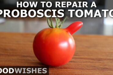 How to Repair a Proboscis Tomato - The Chef John Method - Food Wishes
