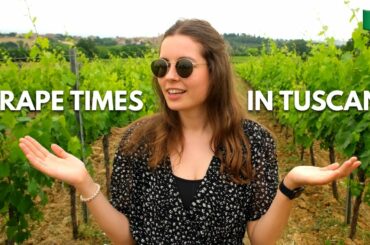 TASTING WINE IN TUSCANY (a relaxed day in Montepulciano) | Italy Road Trip Ep. 6