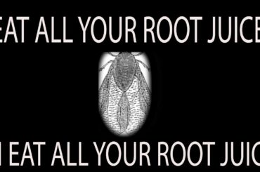 that time america almost killed wine  *  part 1