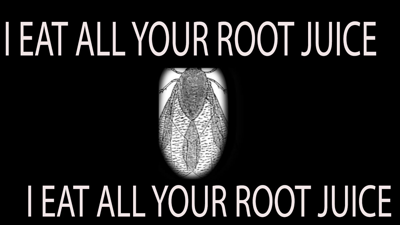 that time america almost killed wine * part 1 that time america almost killed wine * part 1