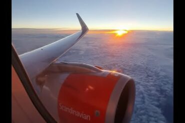 stayCation@The Winery Hotel & SAS A320neo