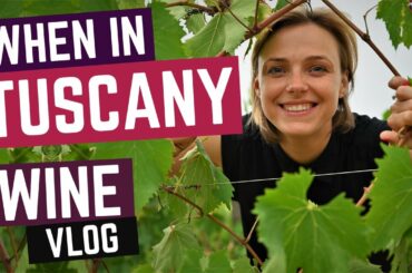 When in Tuscany (Wine Vlog)