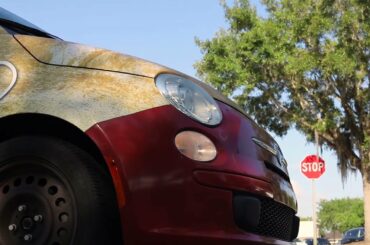 Italian Cuisine Bella Tuscany