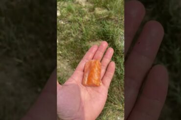 Cooking Food , Cook Expert Tasty #short EP 6