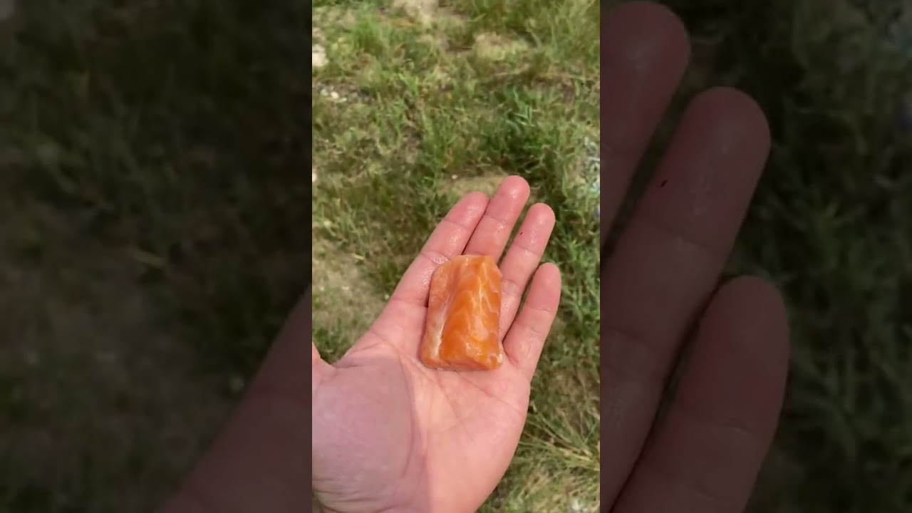 Cooking Food , Cook Expert Tasty #short EP 6 Cooking Food , Cook Expert Tasty #short EP 6