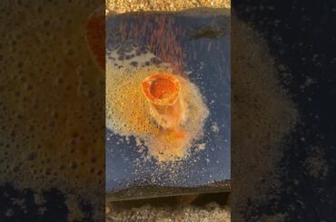 Cooking Food , Cook Expert Tasty #short EP 9