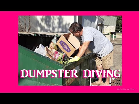 WE WENT DUMPSTER DIVING TOGETHER AGAIN TOGETHER AT LAST! FREE FOOD ALDI DUMPSTER DIVE AND HAUL! WE WENT DUMPSTER DIVING TOGETHER AGAIN TOGETHER AT LAST! FREE FOOD ALDI DUMPSTER DIVE AND HAUL!