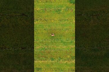 PORTRAIT photography: Italian winery in Brescia, Lombardy, Italy - behind the scenes #shorts