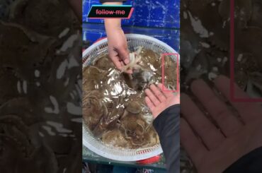 Cooking Food , Cook Expert Tasty #short EP 62