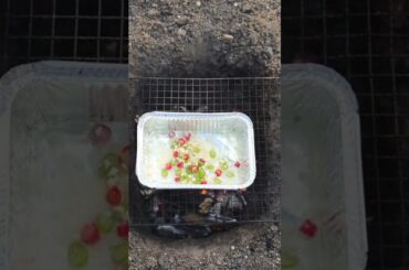 Cooking Food , Cook Expert Tasty #short EP 85