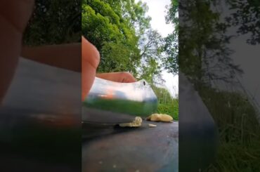 Delicious Colourful Ravioli | Italian Food #shorts