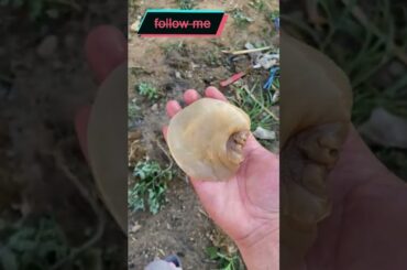 Cooking Food , Cook Expert Tasty #short EP 78