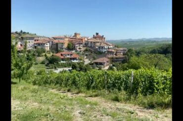 Italian Wines - Piedmont: A Video Spotlight on Giuseppe Rinaldi with Monica Larner