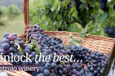 Fattoria di Petroio: The story of a traditional Italian winery