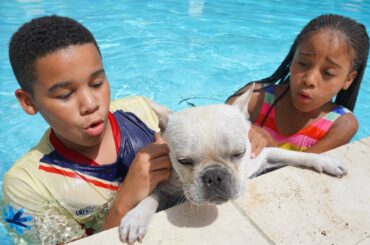 Dog ALMOST DROWNS, Kids SAVE HIS LIFE | FamousTubeFamily