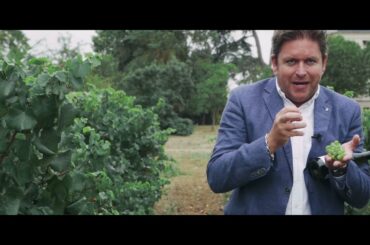 James Martin presents his Signature Chef white wine
