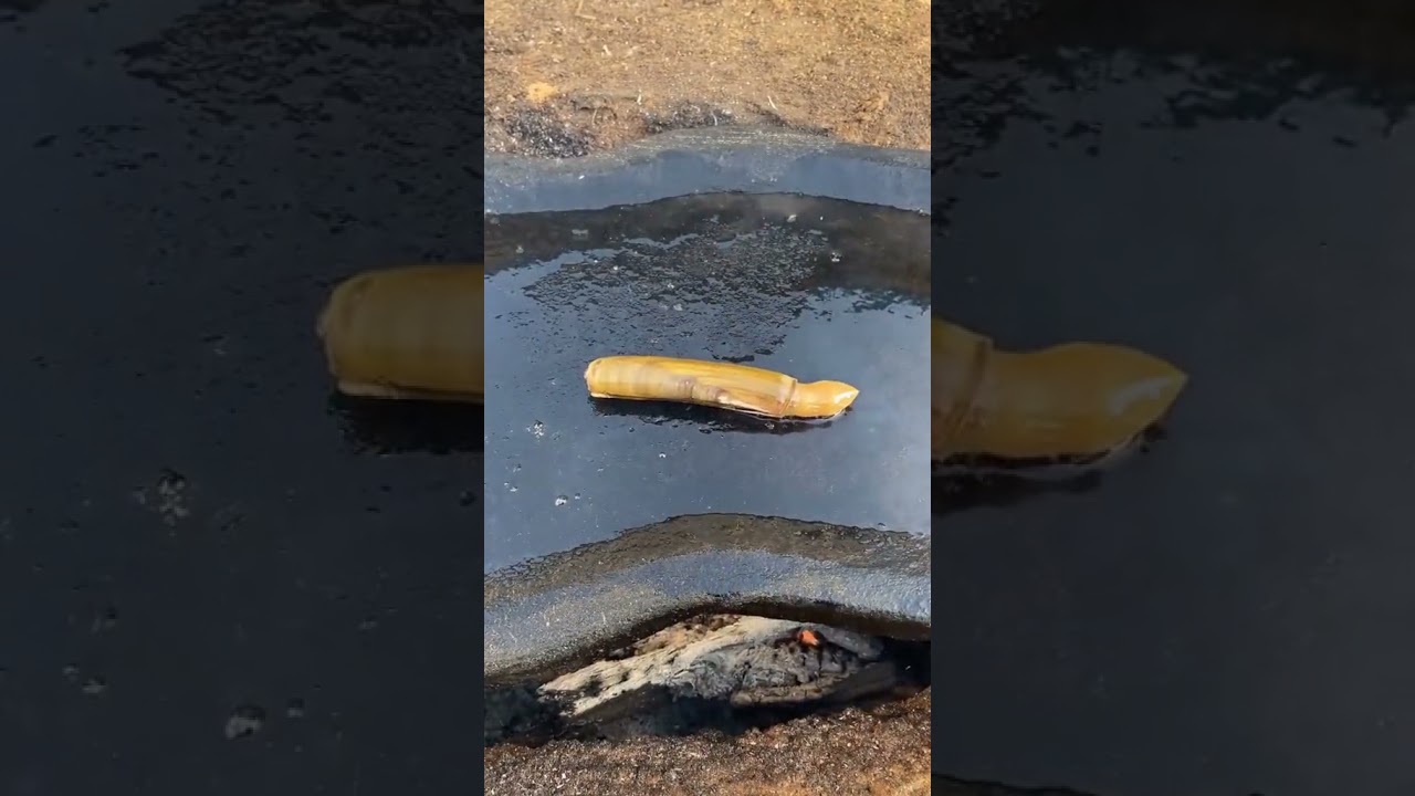 Cooking Food , Cook Expert Tasty #short EP 18 Cooking Food , Cook Expert Tasty #short EP 18