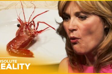 Serving Dinner Guests Live Animals | Dinner Party Wars | Absolute Reality