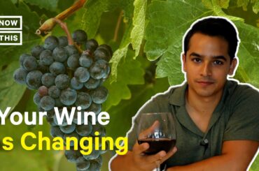 Climate Change Poses Threat to Wine Industry