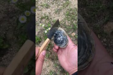 Cooking Food , Cook Expert Tasty #short EP 76