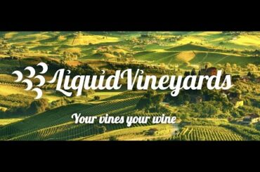 DIGITAL RIGHTS TO VINE OWNERSHIP: A Q&A with the founders of LiquidVineyards