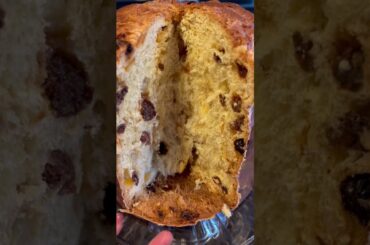 Panettone Traditional Italian Bake#shorts #bread #baked #food #foodlife