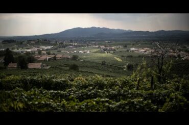 A Battle of the Bubbles War Comes to the Prosecco Hills
