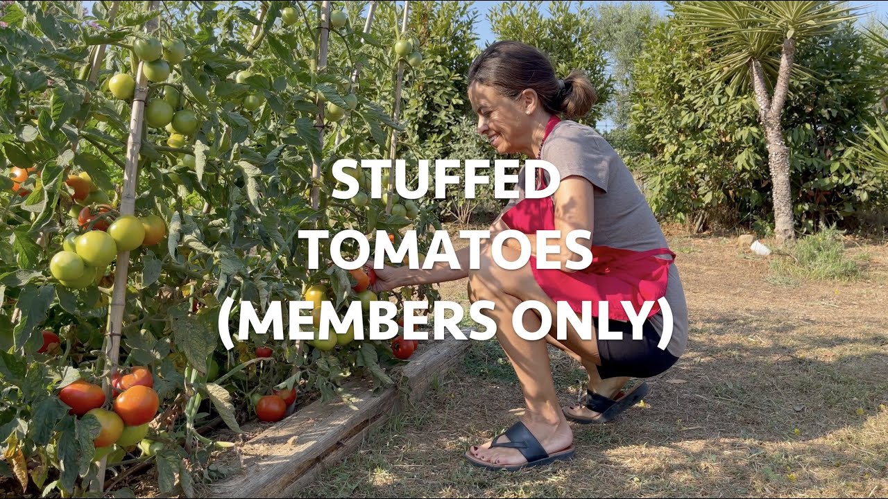 October 16: MEMBERS ONLY! Stuffed Tomatoes & Fingerling Potatoes Class October 16: MEMBERS ONLY! Stuffed Tomatoes & Fingerling Potatoes Class