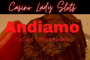 Las Vegas Great Restaurant! Andiamo Steakhouse located in The D, Downtown Las Vegas.