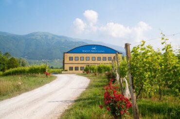 Bacio della Luna: who we are