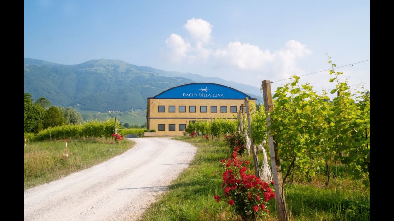 Bacio della Luna: who we are Bacio della Luna: who we are