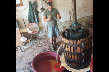 Making Wine with Danilo Marcucci at Ceppaiolo