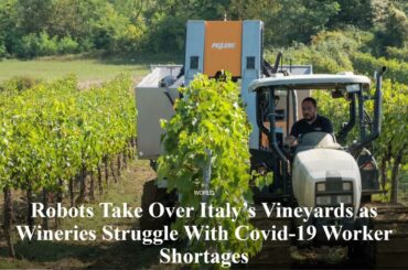 Robots Take Over Italy’s Vineyards