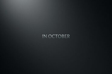 Olive Picking In Tuscany, Italy