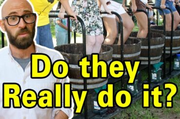 Do Wine Makers Really Walk Over Grapes With Their Feet?