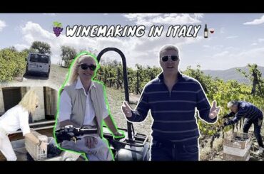 WINEMAKING IN ITALY FROM A TUSCAN VINEYARD - Vendemmia 2021 at LIVERNANO